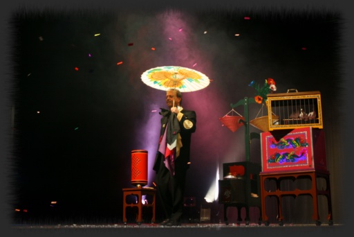 Magicien, mariage, spectacle et animation